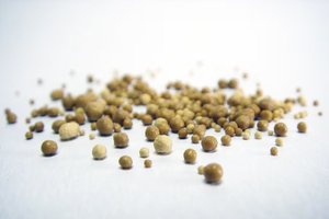 A close-up of small brown bits on a white surface, highlighting the texture and details of yeast extract